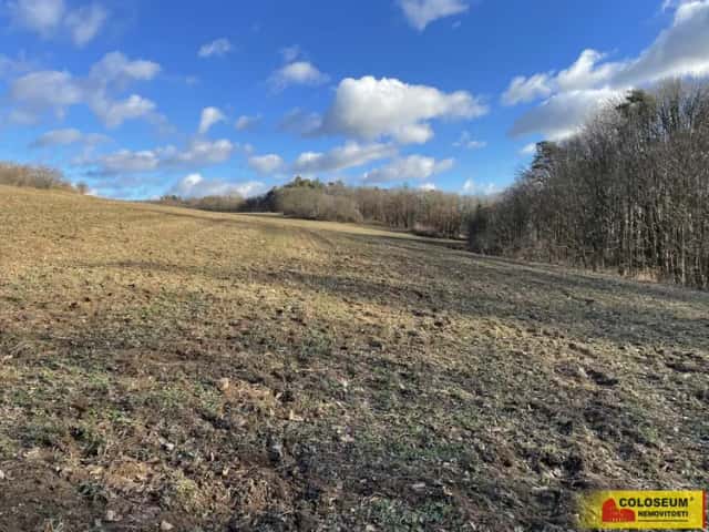 Blansko - Těchov, travní porost 2 458 m2, investice - pozemek, Blansko