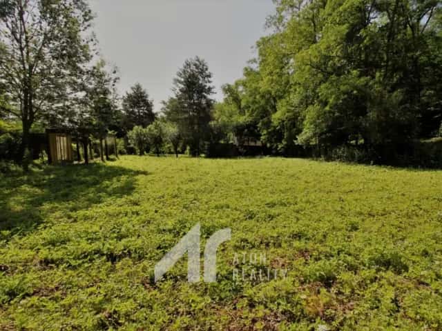 Dyje – zahrada 476 m2, oplocení, přípojka elektřiny – zahrada, Dyje, okres Znojmo