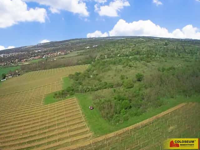 Znojmo – Oblekovice, vinice, trvalý travní porost, lesní pozemek, 16 843 m2 – pozemek, Znojmo