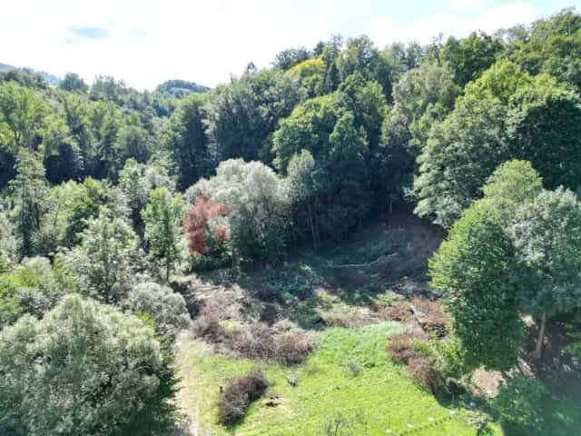 Prodej pozemku 4199 m2 Ondřejovice, okres Jeseník, Zlaté Hory, okres Jeseník