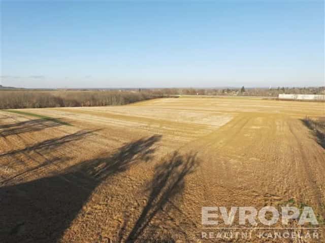 PRODEJ STAVEBNÍHO POZEMKU 7000 m2 Kolín Štítary, Štítary u Kolína