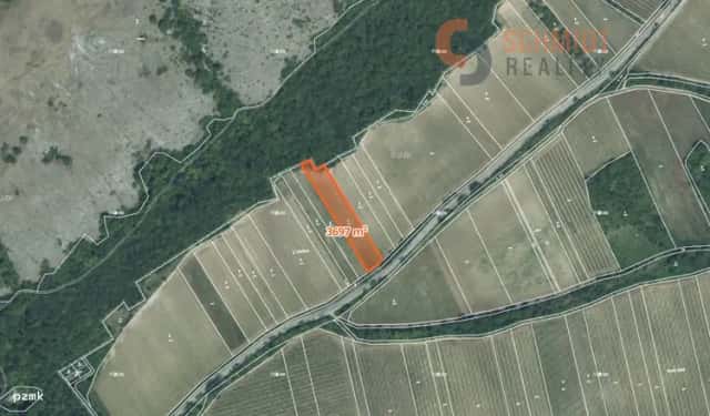 Prodej vinice v žádané lokalitě Pálavy – 3 697 m2 Pavlov, Pavlov, okres Břeclav