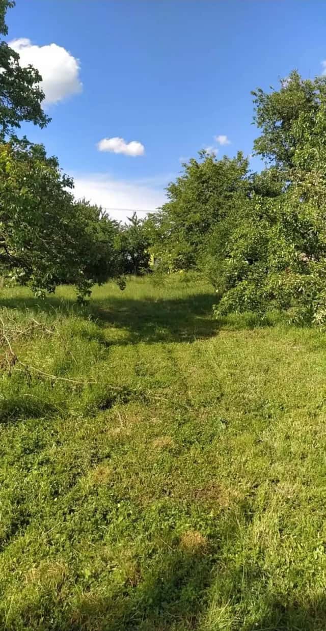 Prodej dvou pozemků ke stavbě RD v obci Šanov okr. Znojmo, Šanov, okres Znojmo