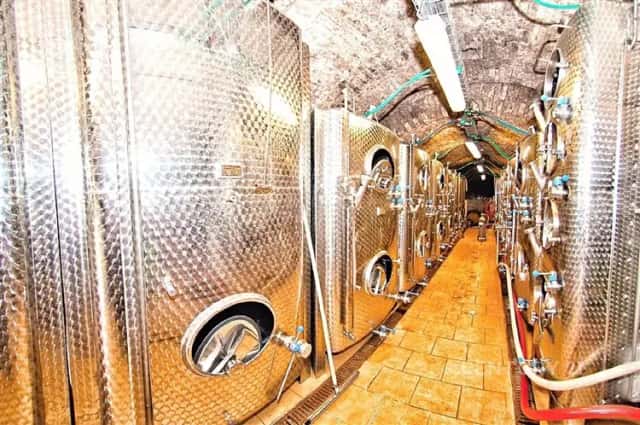 Exkluzivní prodej certifikovaného vinařství na Moravě - vinice, sklep, sklad, technologie, značka a zásoby., Strachotín, okres Břeclav