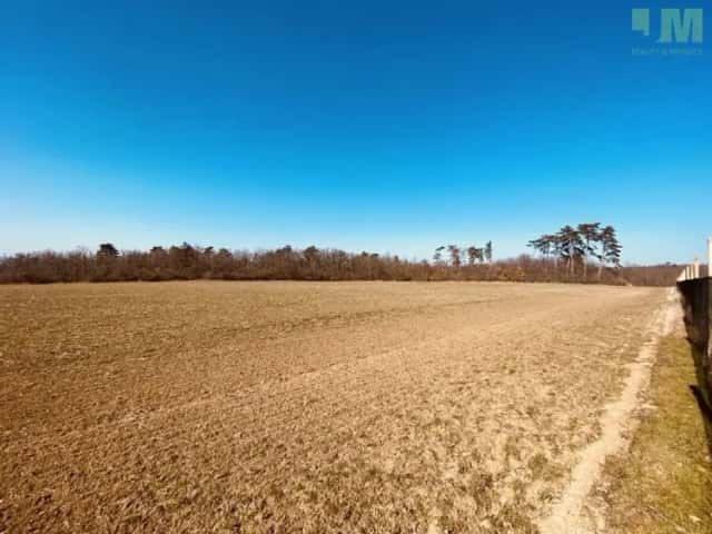 Prodej pozemky - zahrady, 7 000 m2 - Dobšice, Dobšice, okres Znojmo