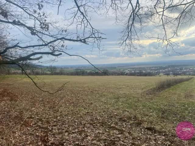 Prodej louky o velikosti 27123 m2 v obci Bělkovice Lašťany, Bělkovice-Lašťany, okres Olomouc