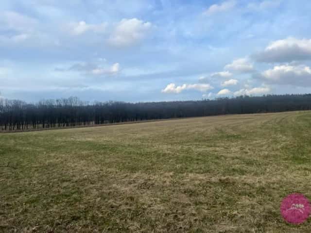 Prodej pole o výměře 13030 m2 v obci Bělkovice Lašťany, Bělkovice-Lašťany, okres Olomouc
