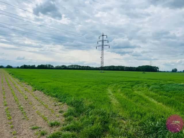 Prodej těžebního pozemku štěrkopísku o velikosti 29280 m2 v obci Liboš, Liboš, okres Olomouc