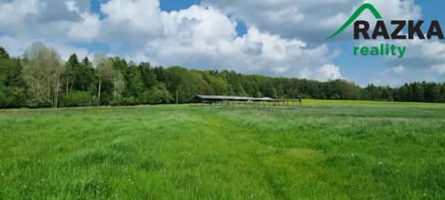 Zemědělská půda 64 ha Hošťka, Bohuslav, Hošťka, okres Tachov
