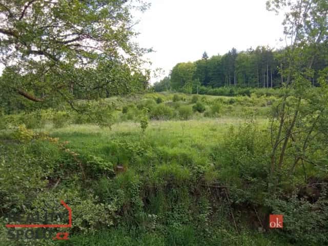 Prodej pozemky pro bydlení, 22 894 m2 - Janská, Janská, okres Děčín