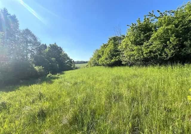 Soubor pozemků 9.431 m2 v katastrálním území Oprechtice., Zahořany, okres Domažlice