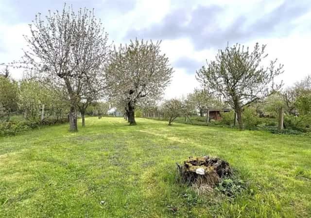 Rodinný dům 3+1 se zahradou 1.424 m2 v obci Koloveč., Tyršova, Koloveč, okres Domažlice