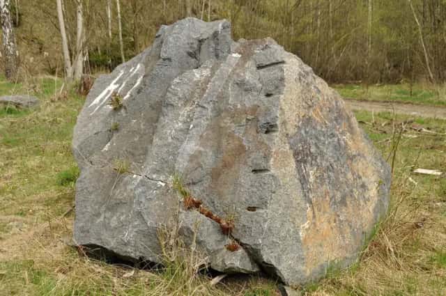 Prodej, Ostatní pozemky, 19816 m2 - Chodová Planá, Chodová Planá, okres Tachov