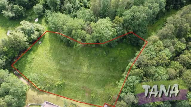 Prodej louky v obci Rudník, část Arnultovice, Rudník, okres Trutnov