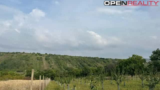Prodej zahrady 358 m2, Němčičky u Hustopečí., Němčičky