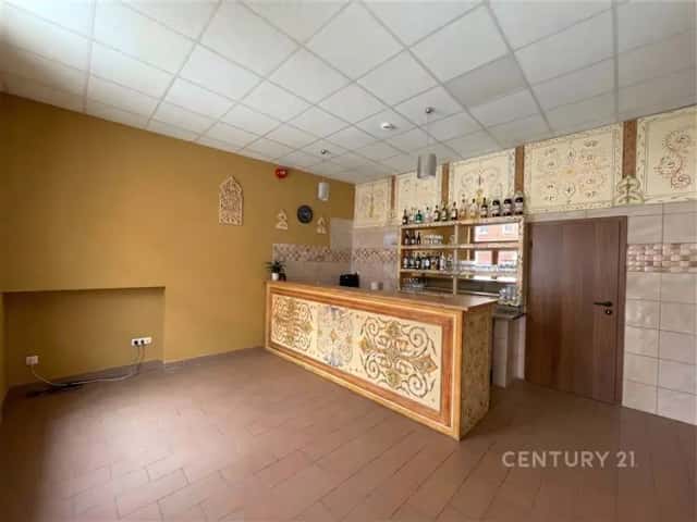 Dům 350 m2, která je ideální kombinací domovu a podnikání, Pražská, Louny