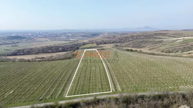 Prodej sadu, vinice 11748 m2, Němčičky