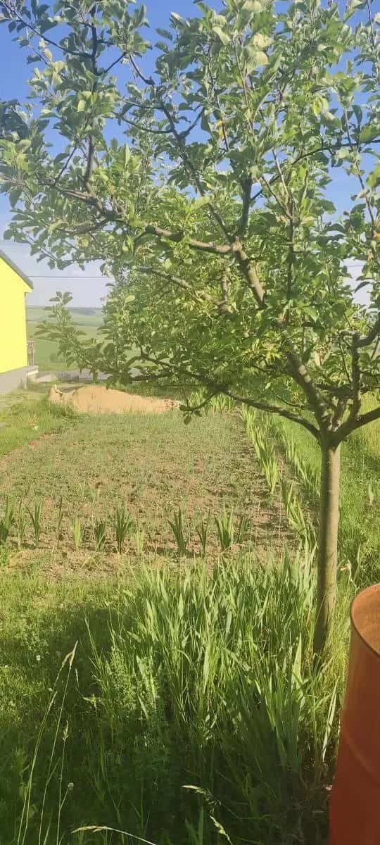 Prodej stavebního pozemku na řadový RD v obci Viničné Šumice, Viničné Šumice, okres Brno-venkov