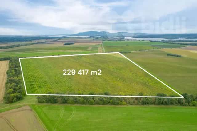 Prodej hodnotného pozemku, více jak 229 000 m2, Pohořelice - Nová Ves, Pohořelice, okres Brno-venkov