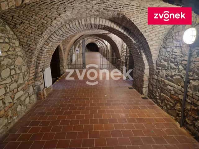 Pronájem obchodního prostoru 650 m2, Uherské Hradiště, Uherské Hradiště