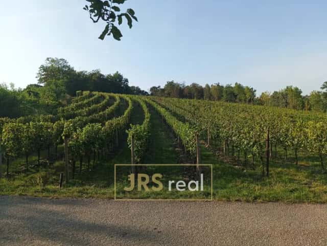 Prodej vinice 3 399 m2, Mutěnice, Mutěnice, okres Hodonín