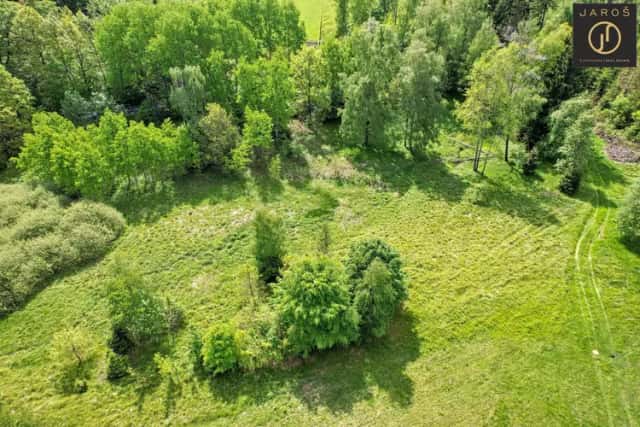 Prodej dvou pozemků v přírodní krajině Velký Šenov, Velký Šenov, okres Děčín