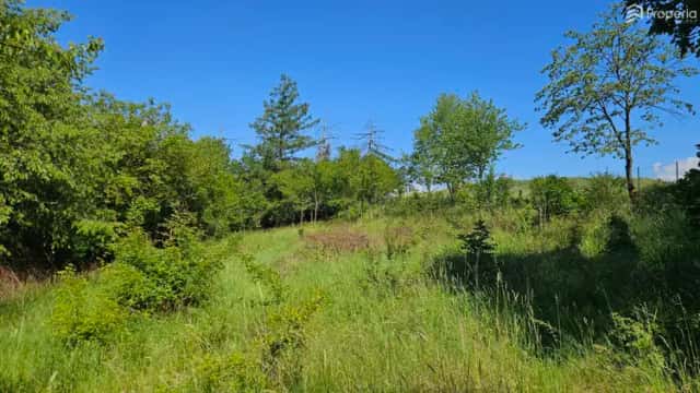 Prodej stavebního pozemku 1 845 m2, Letovice - Zboněk, Letovice, okres Blansko