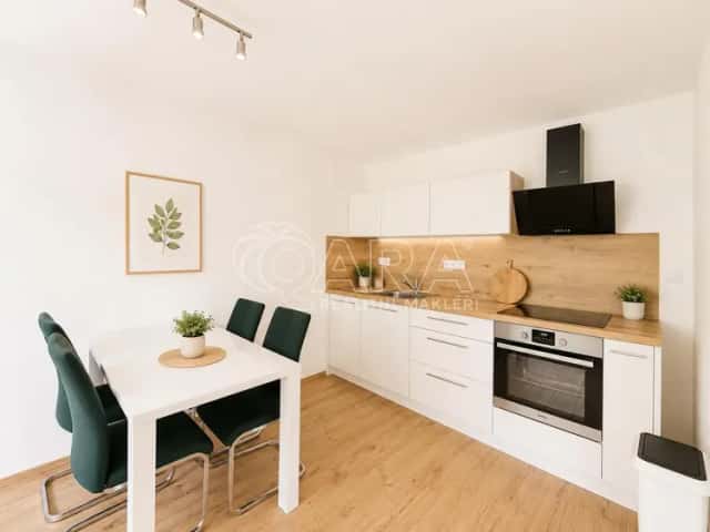 Pronájem vybaveného apartmánu 2+kk, 55 m and sup2;, Jeseníky Mýtinka u Jeseníku, Na Mýtince, Jeseník