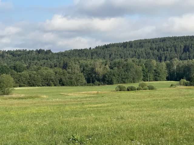 Prodej souboru pozemků o celkové výměře 27 325 m2 – Blansko u Kaplice, Kaplice, okres Český Krumlov