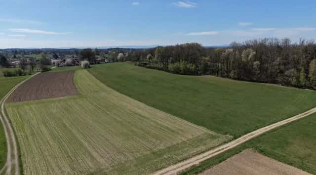 Prodej uceleného souboru pozemků 36ha - Třeboňsko, Chlum u Třeboně, okres Jindřichův Hradec