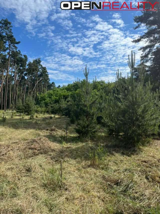 Prodej lesu ve Vracově, Vracov, okres Hodonín