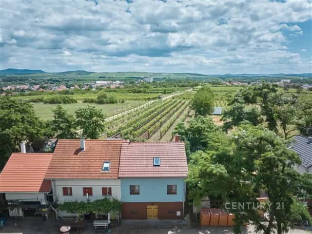 Prodej rodinného domu s vinným sklepem a vinohradem, Drnholec, Drnholec, okres Břeclav