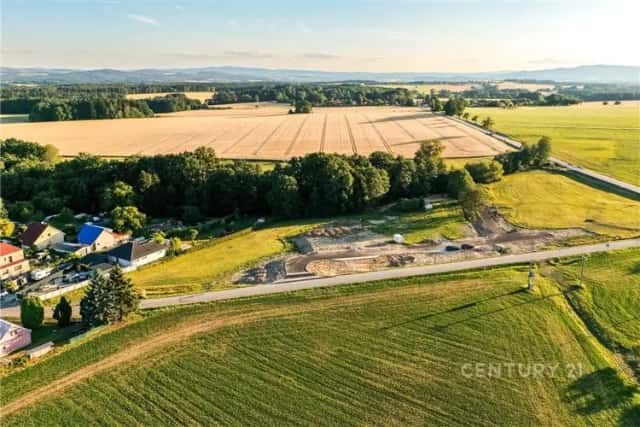 Prodej stavební parcely v mírném svahu s vlastním dubovým hájem, 2 918 m2, Radostice u Borovan, Borovany, okres České Budějovice