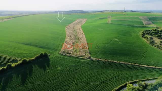Prodej pole, Hustopeče, okres Břeclav