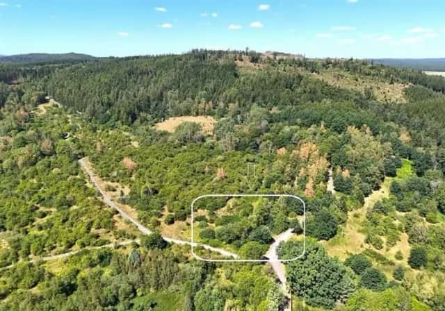 Pozemek 3.054 m2 k bydlení v přírodní pohraniční lokalitě Dubina, Libá, okres Cheb