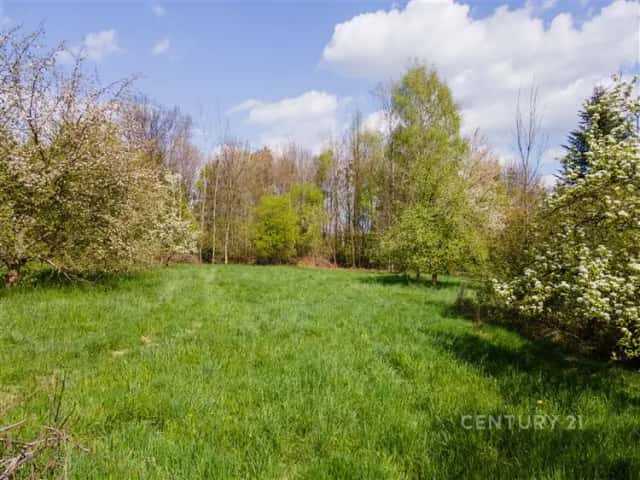 Prodej stavebního pozemku 2 673 m2, Palkovice, Palkovice, okres Frýdek-Místek