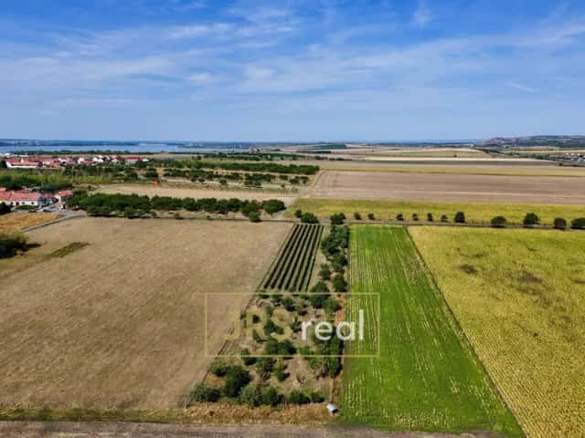 Prodej zahrady s vinicí 5 111 m2, Šakvice, Šakvice, okres Břeclav