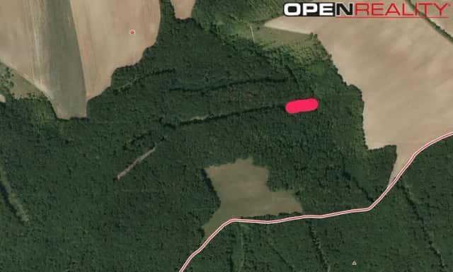 Prodej lesního pozemku 5 387 m2 Morkůvky (okres Břeclav), Morkůvky, okres Břeclav