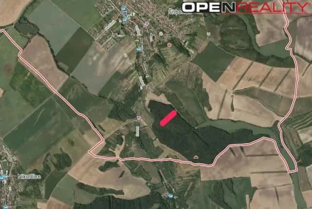 Prodej atraktivního lesního pozemku 4 819 m2 Šitbořice (okres Břeclav), Šitbořice, okres Břeclav