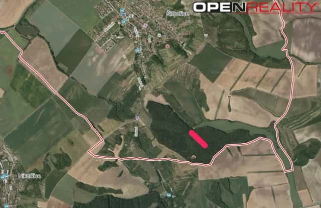 Prodej lesního pozemku 4 682 m2 Šitbořice (okres Břeclav), Šitbořice, okres Břeclav