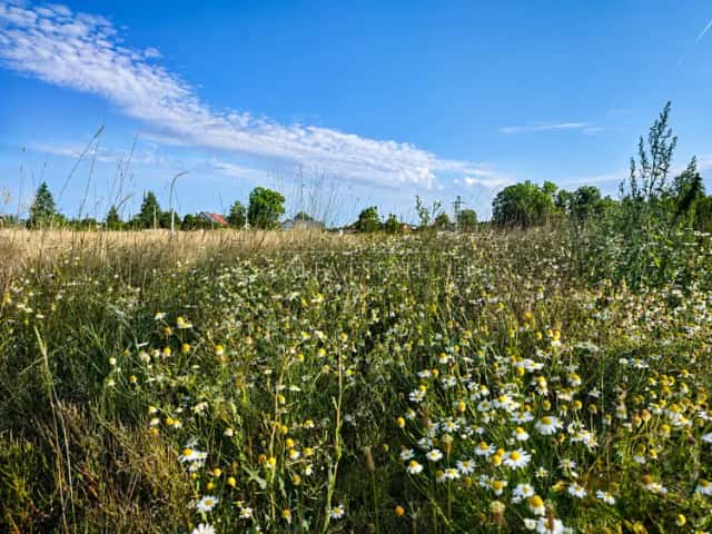 Stavební pozemek 1060 m2, obec Kolová, Kolová, okres Karlovy Vary
