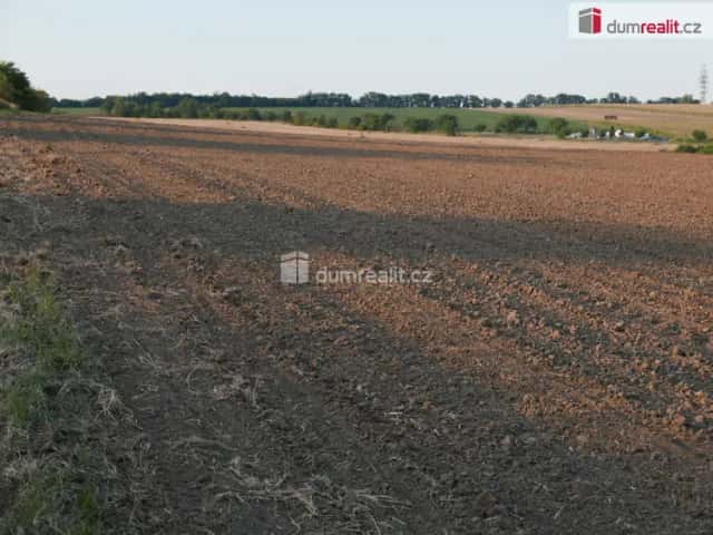 Prodej pole - téměř rovina 4864 m2 - bonita 1, Vinařice