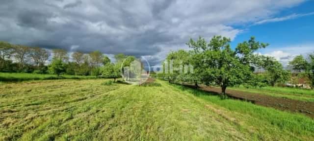 Prodej ovocného sadu o výměře 1062 m2 v Tištíně, Tištín, okres Prostějov