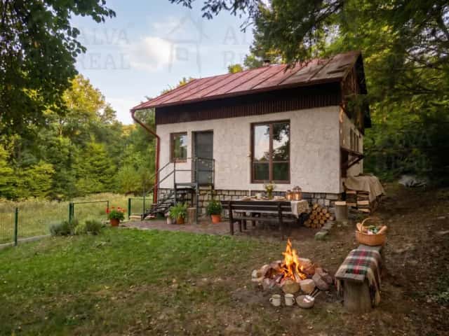 Prodej chaty v obci Lipůvka, CP 580 m, garáž, sklep, po rekonstrukci., Lipůvka, okres Blansko