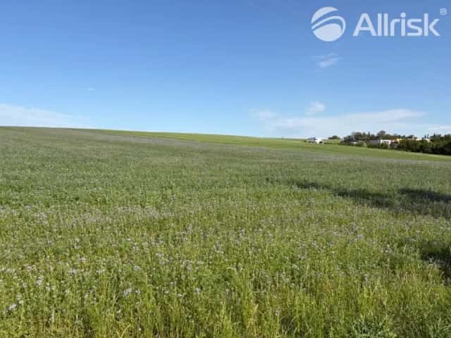 Prodej pozemku 2 477 m2 – Bílovec, Bílovec, okres Nový Jičín