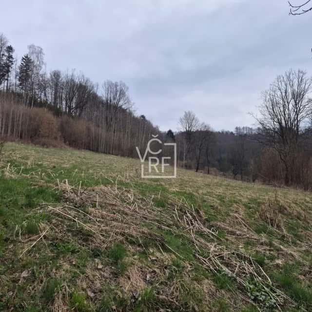 Prodej pozemku o rozloze 4647 m2 v obci Dědov s možností rozdělení, Teplice nad Metují, okres Náchod