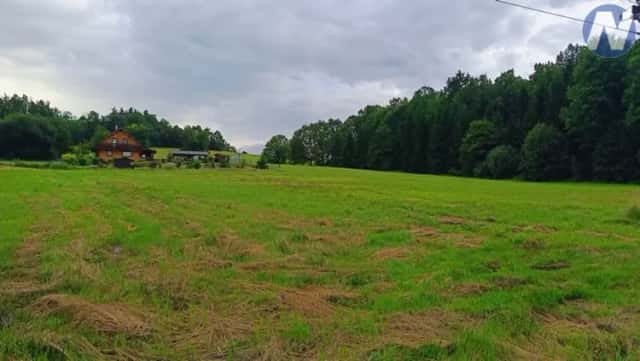 Obora u Hracholusk, pozemek u lesa, Hracholusky, okres Prachatice