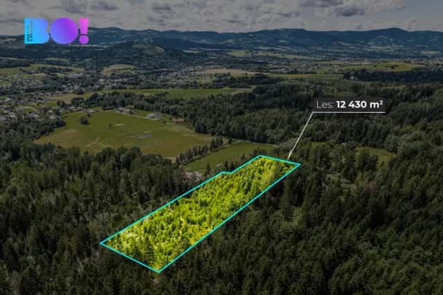 Prodej lesa, 12430 m2, Písek, Písek, okres Frýdek-Místek