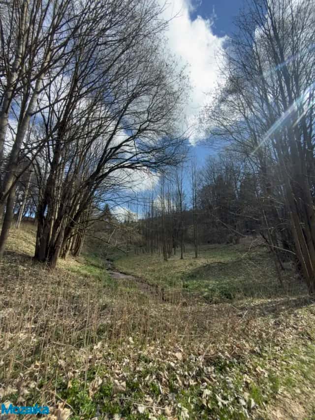 Soubor pozemků v katastrálním území Valteřice u Výprachtic – celková výměra 9974 m2, Výprachtice, okres Ústí nad Orlicí