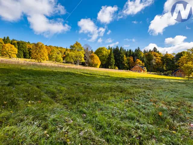 Prodej rozlehlých pozemků 39.564 m2 České Žleby, Stožec, okres Prachatice